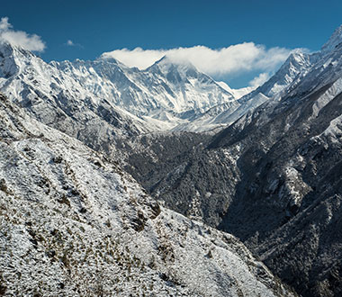 开创智能新纪元的呼死你在线使用