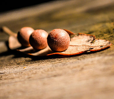 无需复杂操作的加特林短信测压